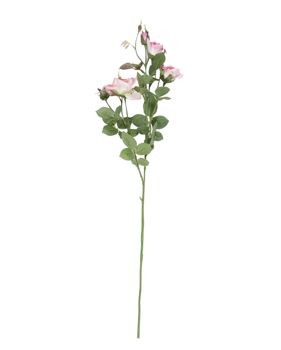 Ruusu royal 75cm, pinkki