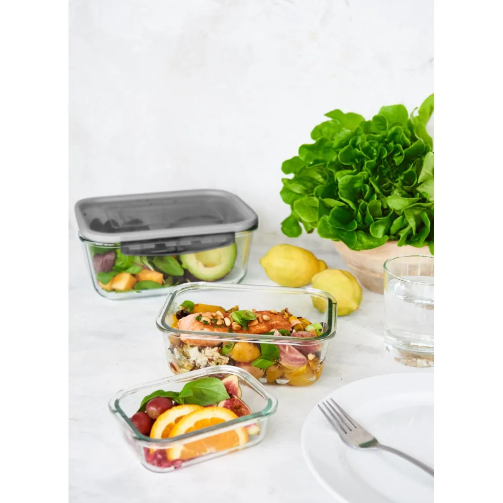 SmartStore™ Glass ruoansäilytysastia 0,75 L