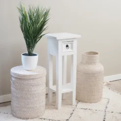 Tekokasvi Pikkupalmu ruukussa 50cm