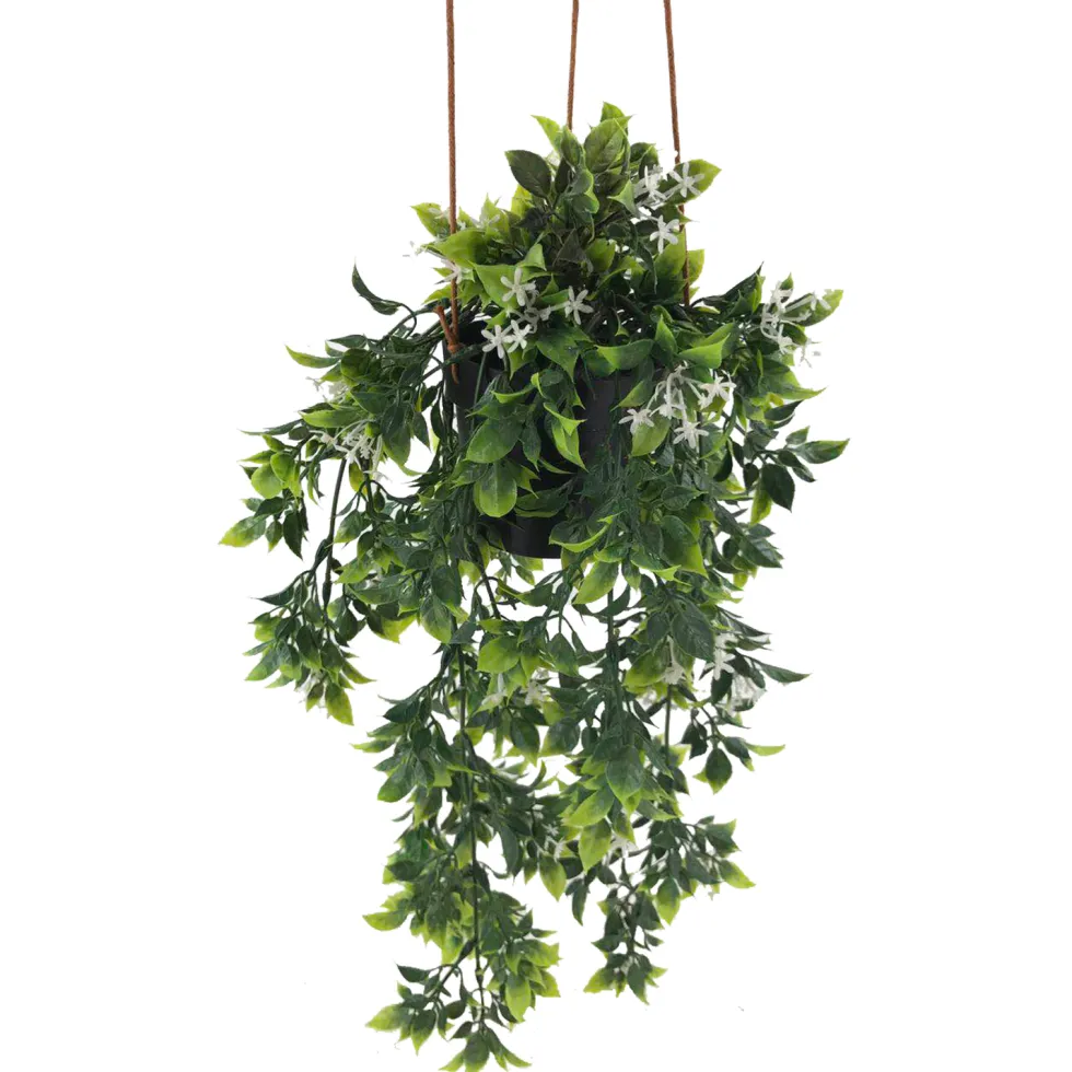 Viherkasvi ruukussa riippuva 48cm 6 eril