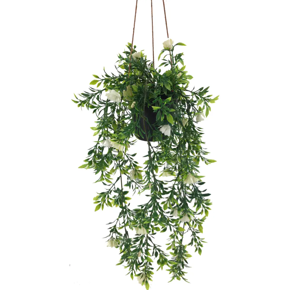 Viherkasvi ruukussa riippuva 48cm 6 eril