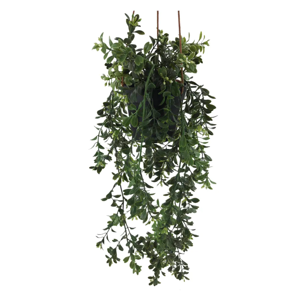 Viherkasvi ruukussa riippuva 48cm 6 eril