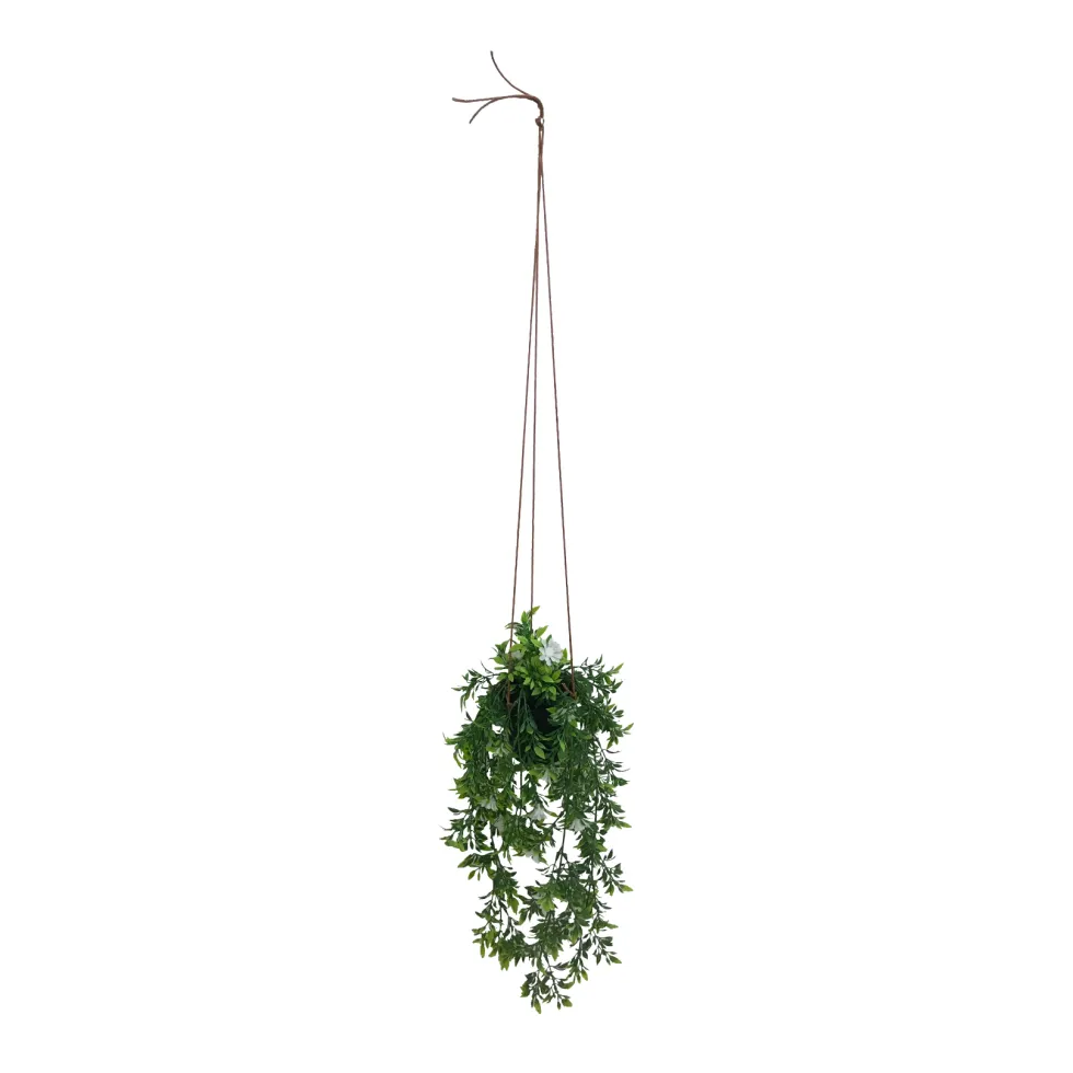 Viherkasvi ruukussa riippuva 48cm 6 eril
